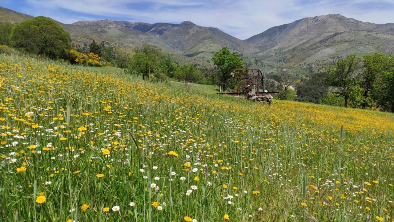 Quinta Do Torgal - Alojamento Local Βίλα Unhais Da Serra Εξωτερικό φωτογραφία